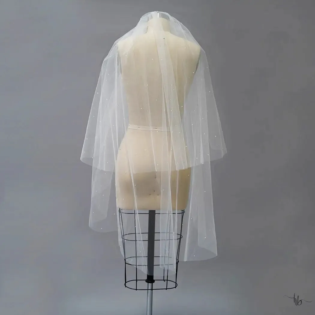 Curtis Veil