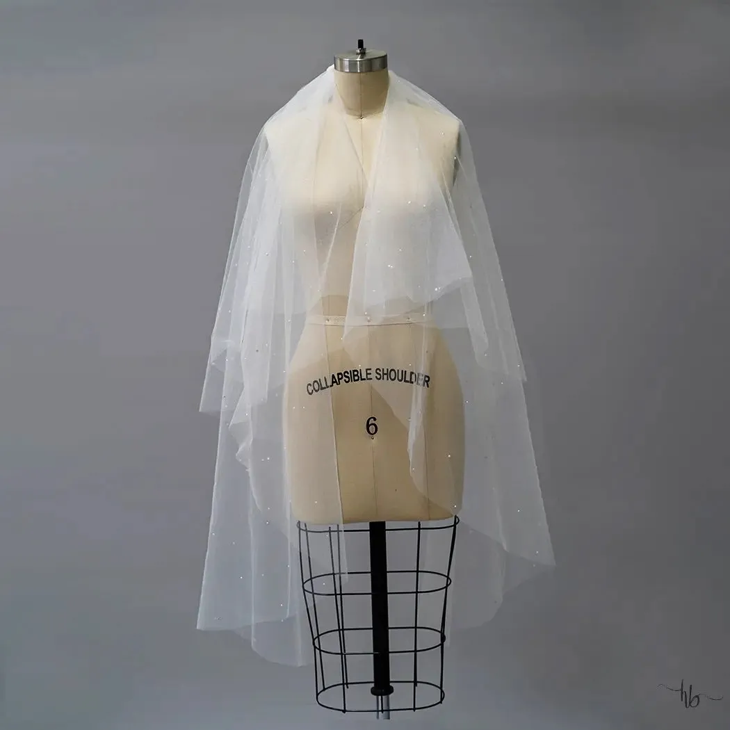Curtis Veil