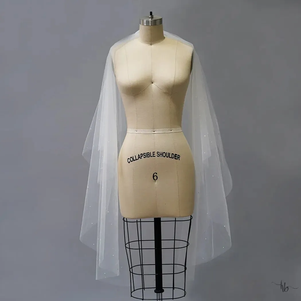 Curtis Veil